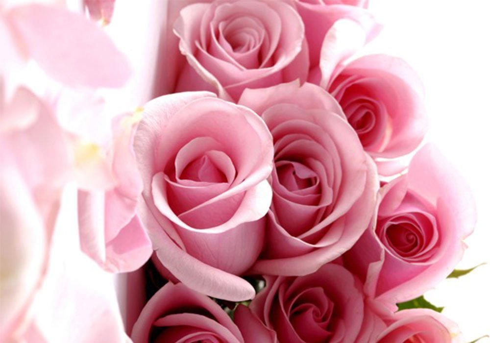  Недорого Столы Стол журнальный стеклянный "Квадратный Pink Roses" Диана