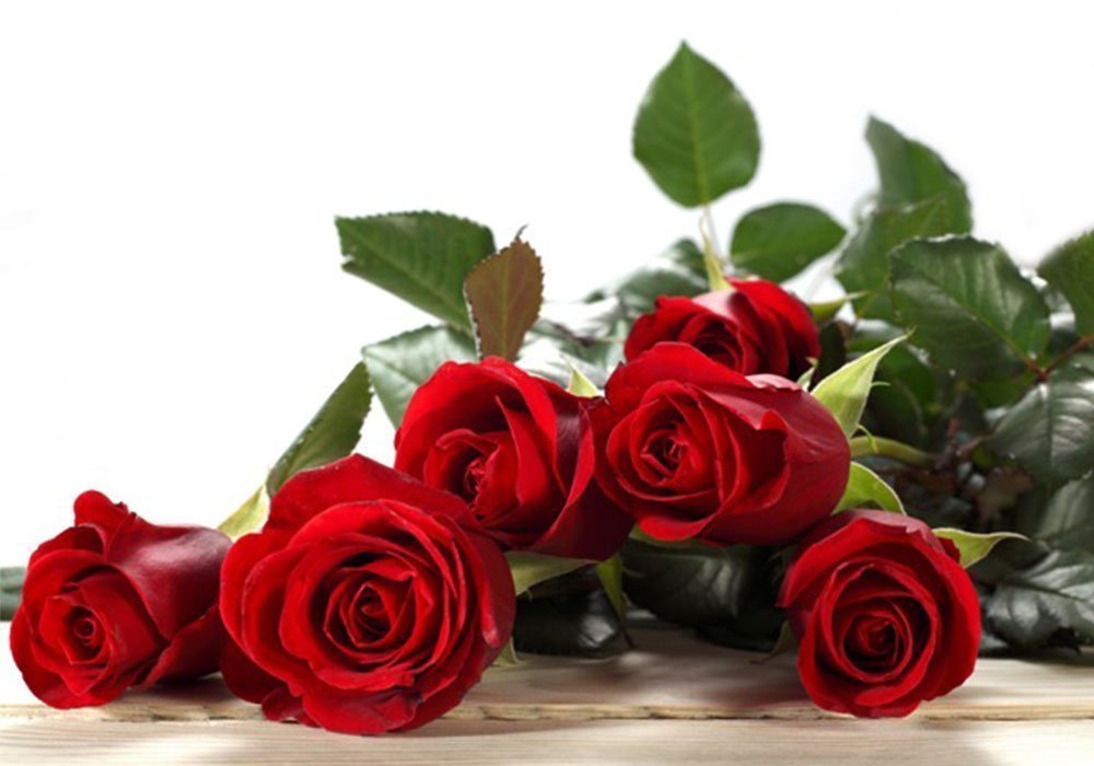  Недорого Столи  Стіл журнальний скляний "Прямокутний Red Roses з полицею" 38х55 Діана 
