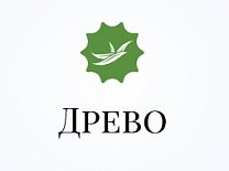 Древо