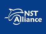 НСТ Альянс