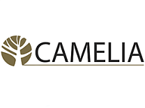 Camelia